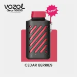 Vozol Gear 10000 Cedar Berries