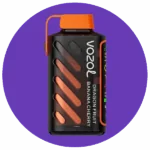 Vozol Gear Power 20000